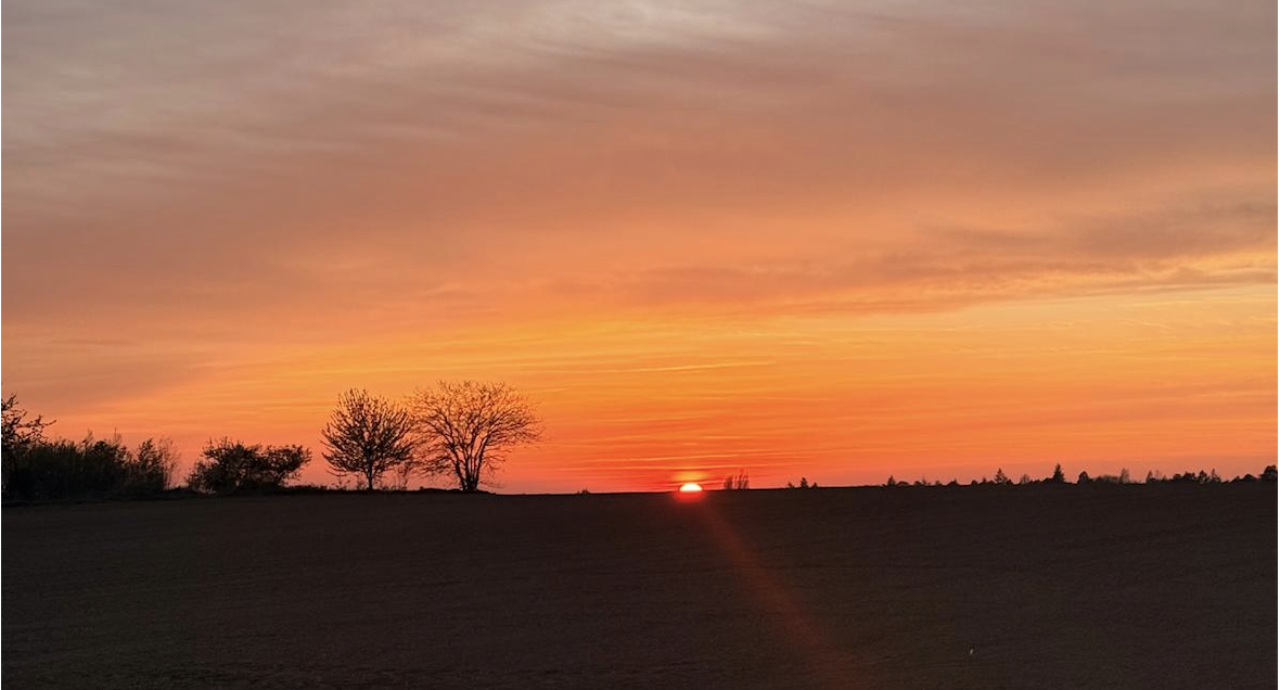 capture d’écran 2026 03 26 à 16.33.01