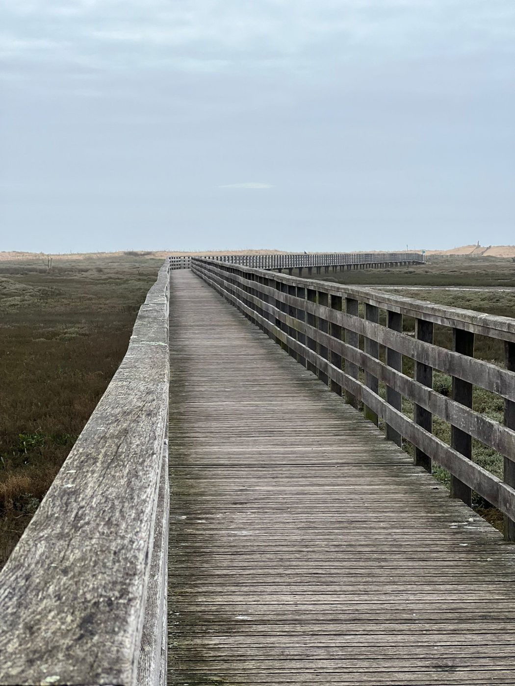 whatsapp image 2024 01 25 at 16.56.58 1