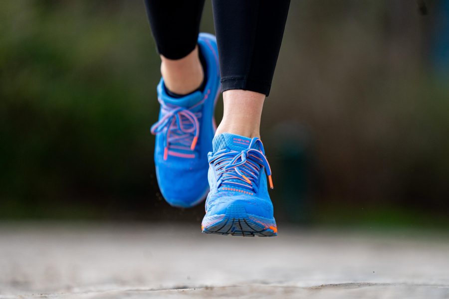 whatsapp image 2025 01 30 at 17.40.38