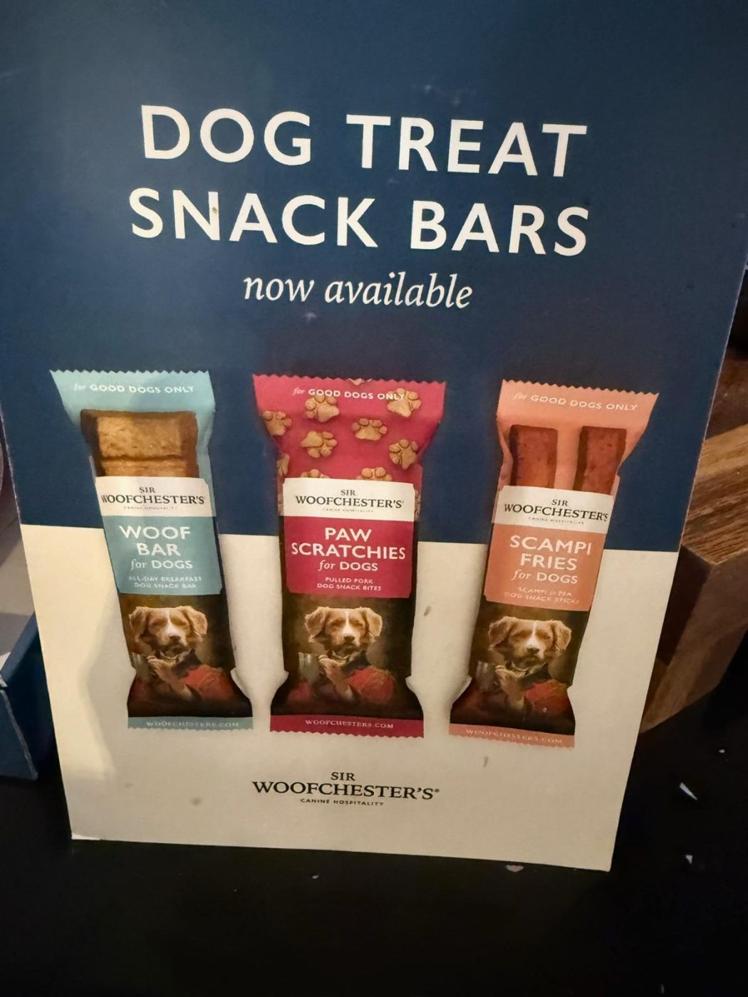 whatsapp image 2025 09 11 at 13.33.41 (1)