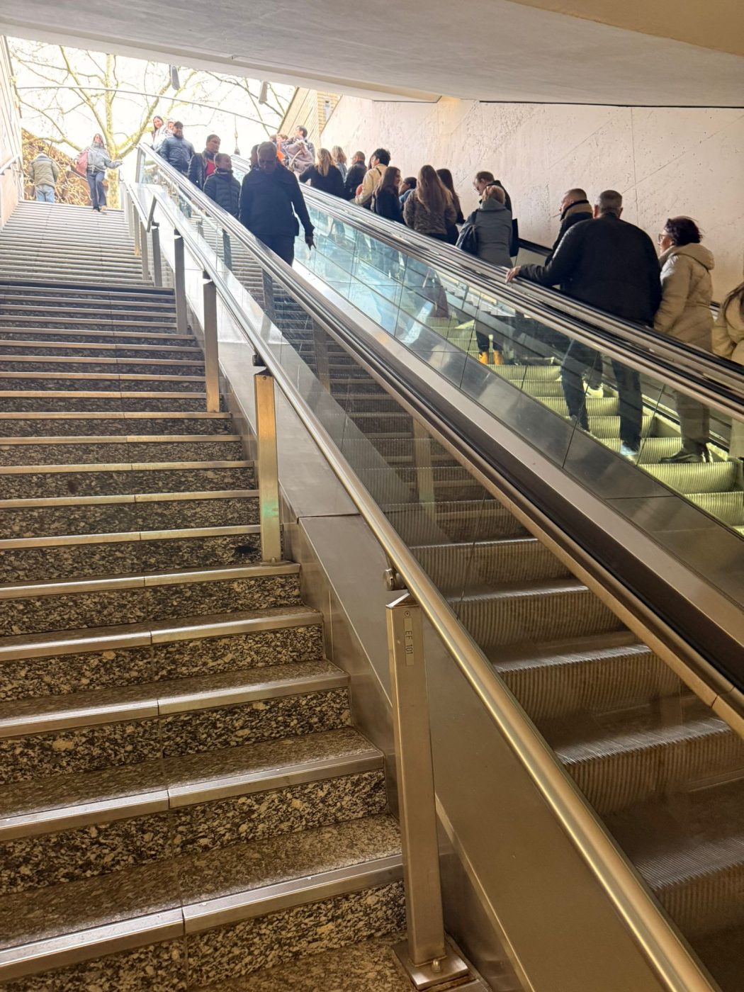 whatsapp image 2026 03 19 at 15.02.58 (1)